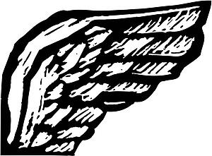 Wing 1