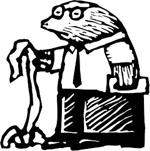 Accountant