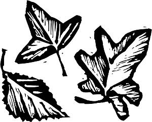 Autumn Leaves