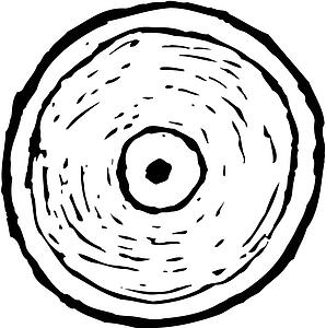 Compact Disk