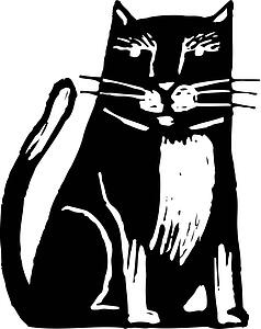 Cool Cat