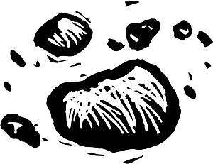 Dirt Clods