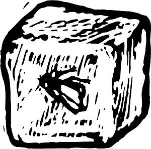 Fly Cube