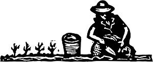 Planting