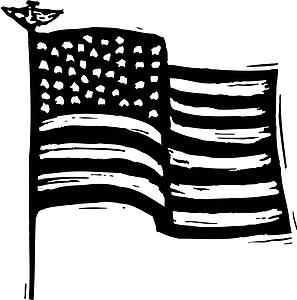 USA Waving