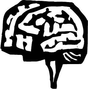Brain 2