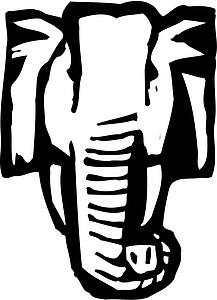 Elephant 2