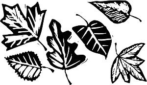 Foliage