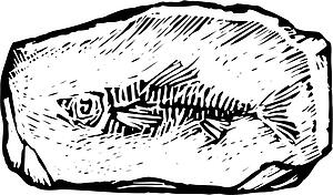 Fossil