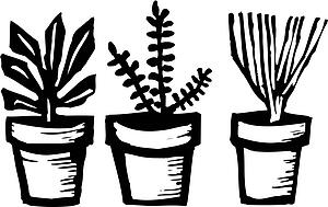 Herbs