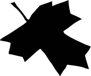 Leaf 11