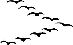 Migrate