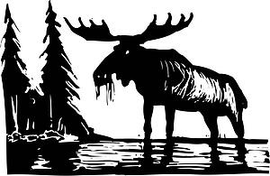 Moose