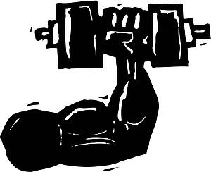 Muscle