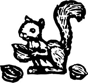 Nuts