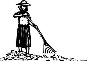 Rake