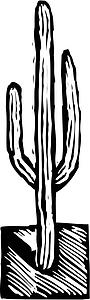 Saguaro