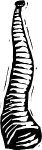 Shofar