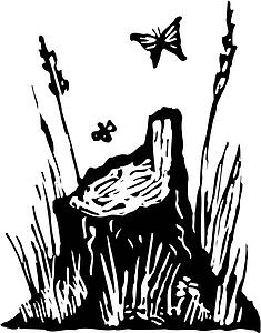 Stump