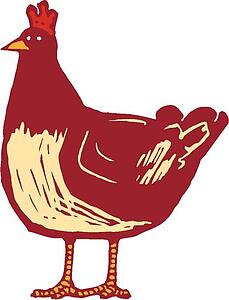 A Chicken