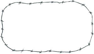 Barb Wire 1