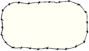 Barb Wire 1