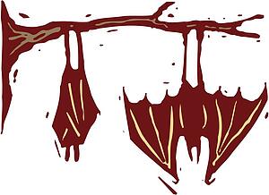 Bats