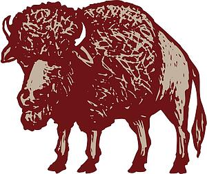 Bison