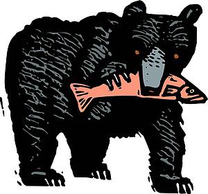 Black Bear