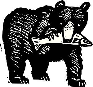 Black Bear