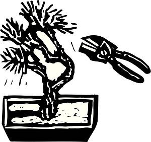 Bonsai