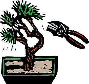 Bonsai
