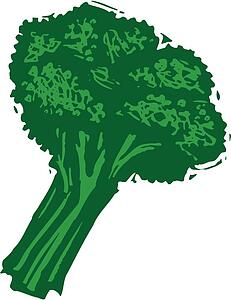 Broccoli