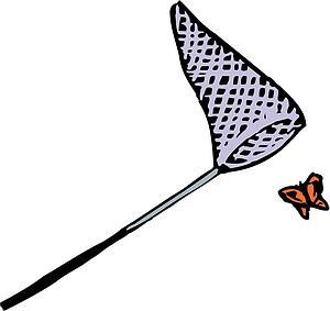 Butterfly 1