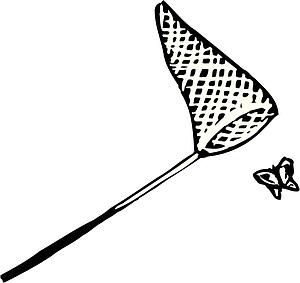 Butterfly 1