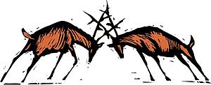 Bucks