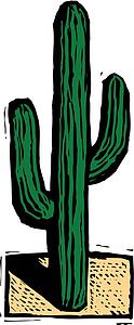 Cactus
