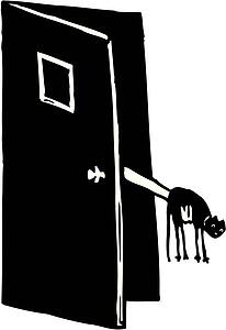Cat Out