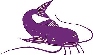 Catfish