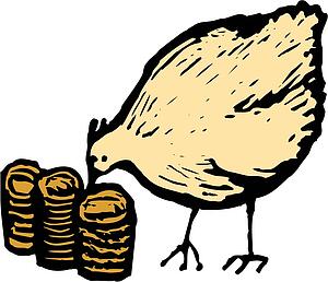 Chicken Feed