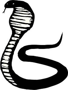 Cobra