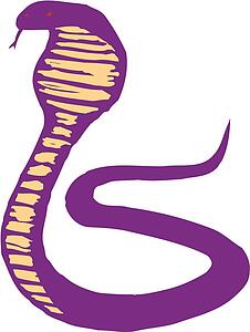 Cobra