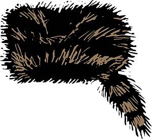 Coonskin Cap