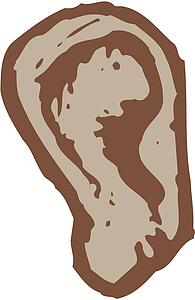 Ear