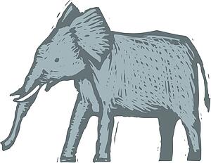 Elephant 3