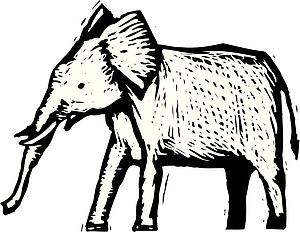 Elephant 3