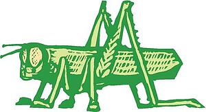 Grasshopper