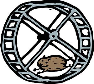 Hamster 2