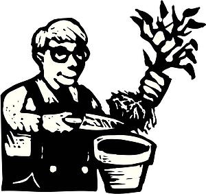 House Plants