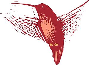 Hummingbird